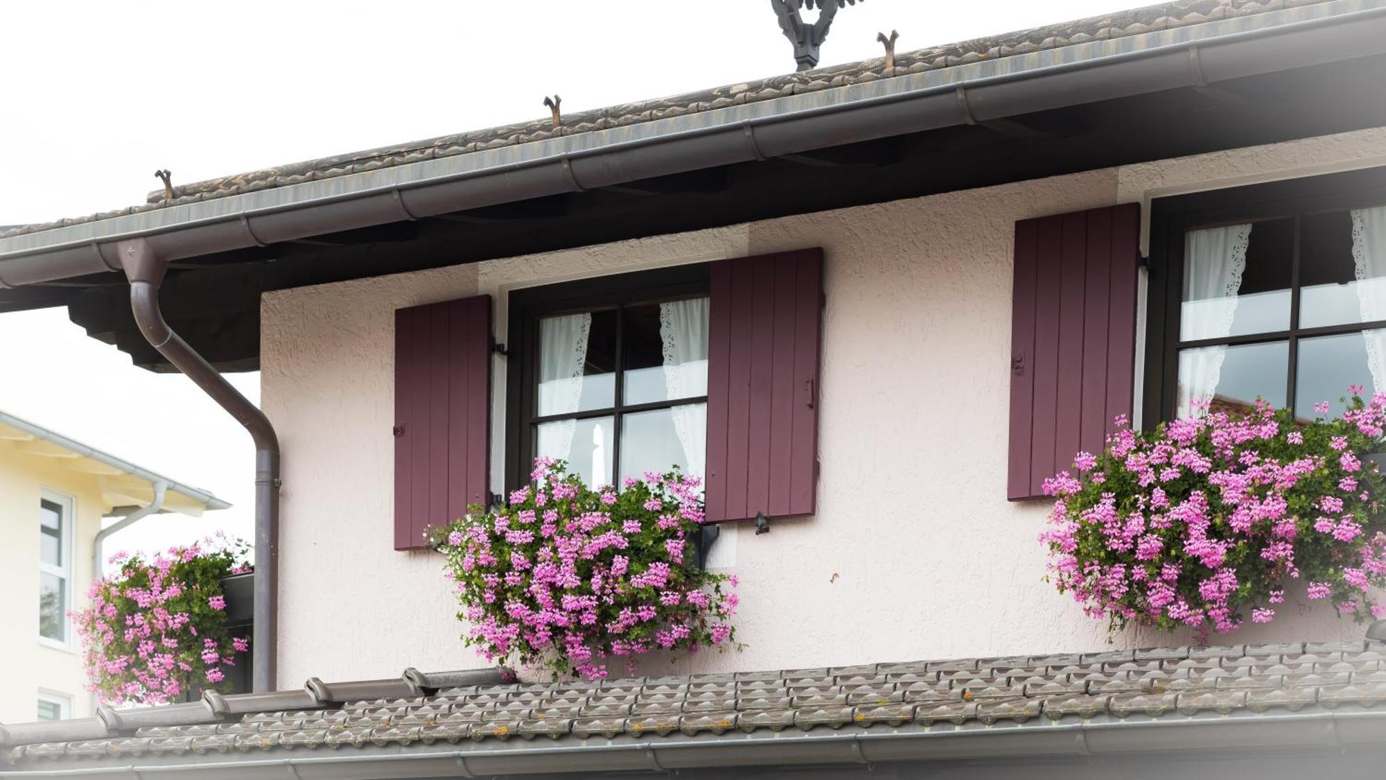 Gaestehaus Sattlerhof Bernau am Chiemsee Kültér fotó